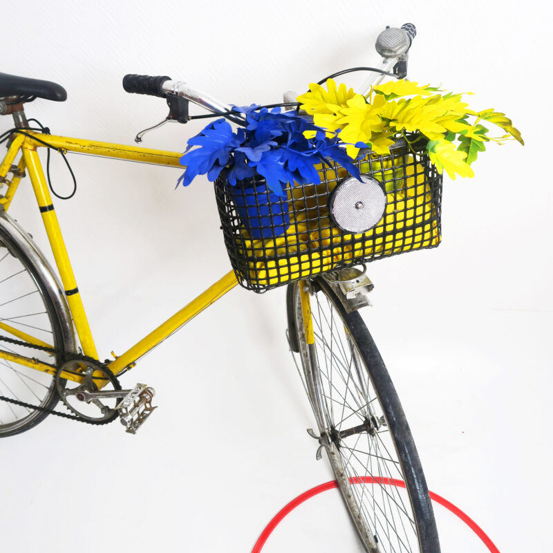 Panier Vélo Guidon